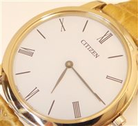 Orologio Citizen Donna 0.45 in Acciaio EG6003-09A - EG6003-09A